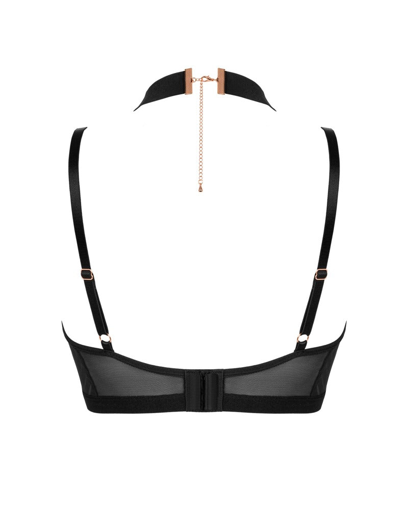 Brasica bra