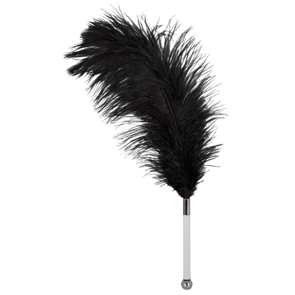 Feather Tickler
