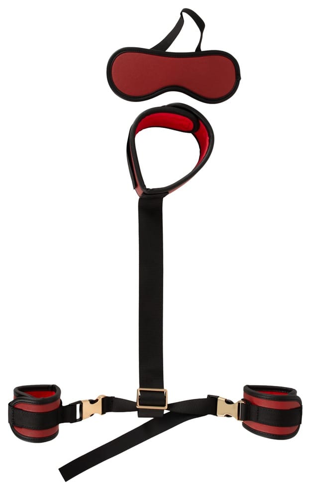 Neck to Wrist Bondage Set