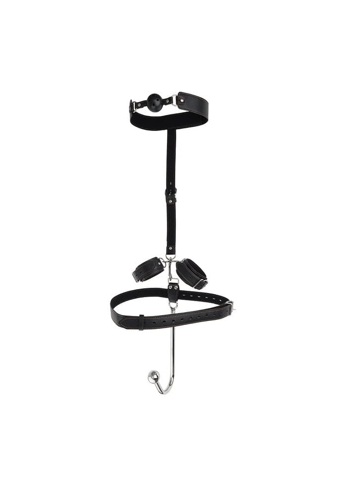 Anale haak geboeid plus gag ball set 2